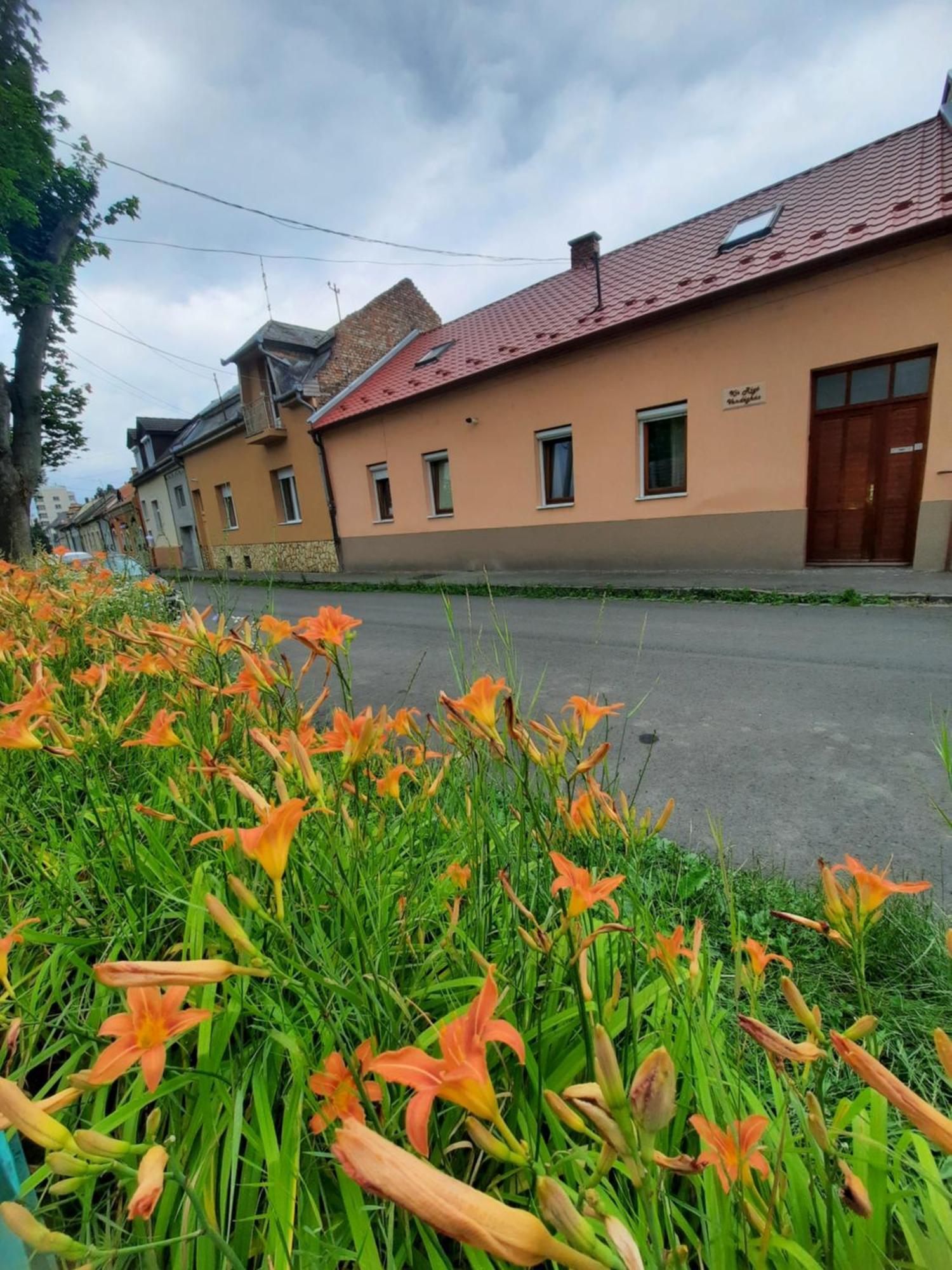 Kis Rigo Vendeghaz Otel Salgótarján Dış mekan fotoğraf